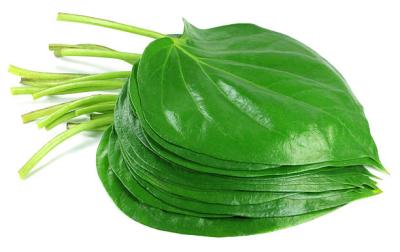 Betel Nut Leaves